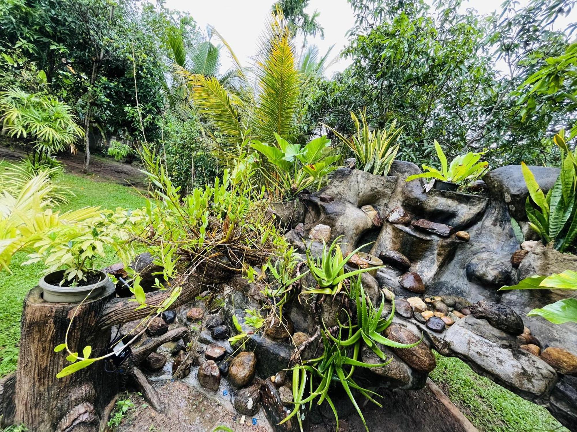 Villa Green Space มาตารา ภายนอก รูปภาพ